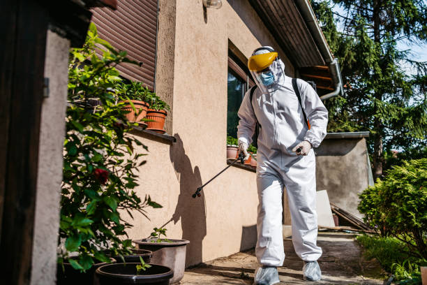 Best Insect Control  in Rossville, TN