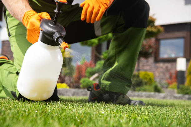 Best Pest Prevention Services  in Rossville, TN
