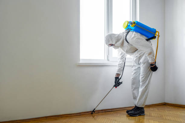 Pest Control Cost in Rossville, TN