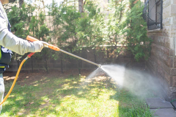 Best Local Pest Control Services  in Rossville, TN